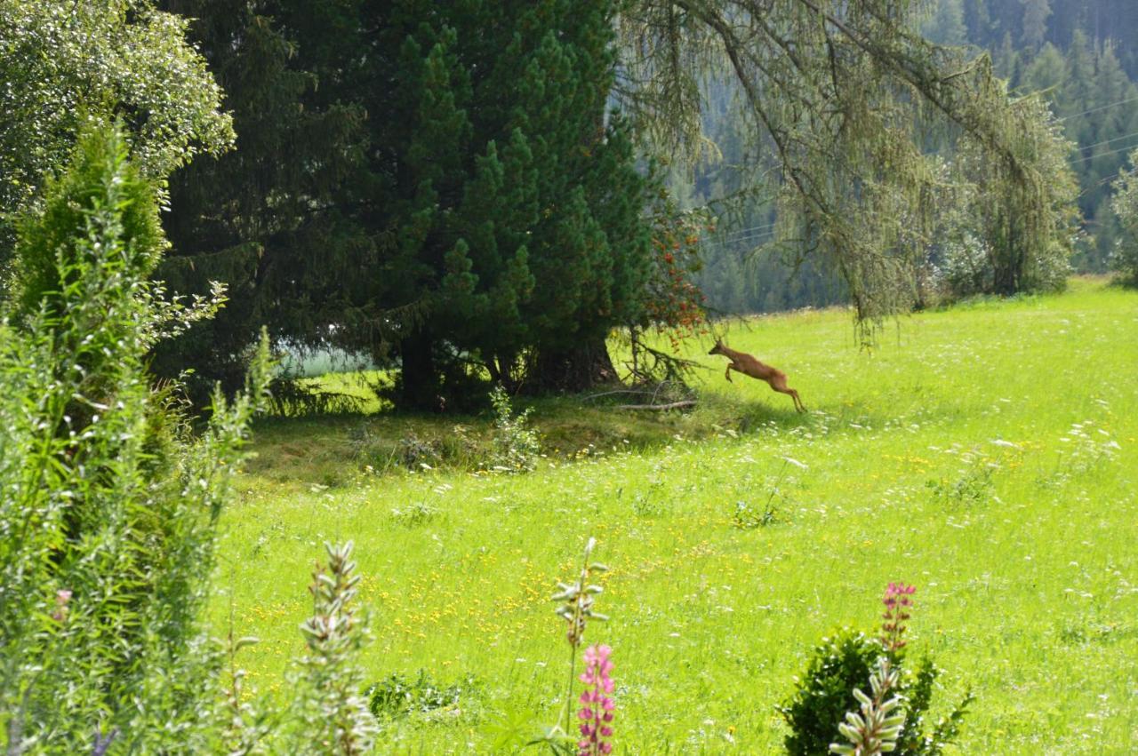 Landhaus Kaulfuss Sankt Jakob in Defereggen Buitenkant foto
